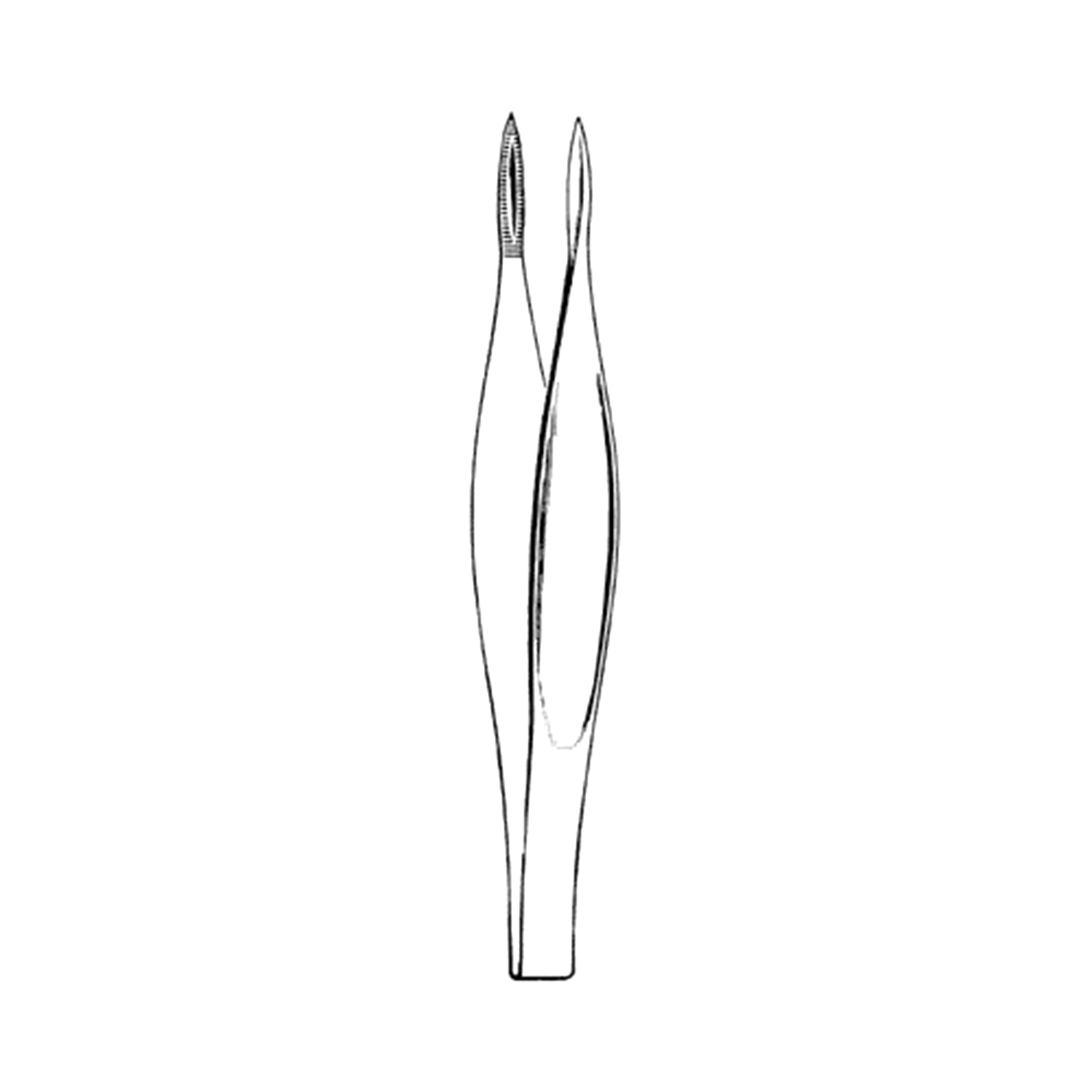 Sklar Merit Feilchenfield Splinter Forceps