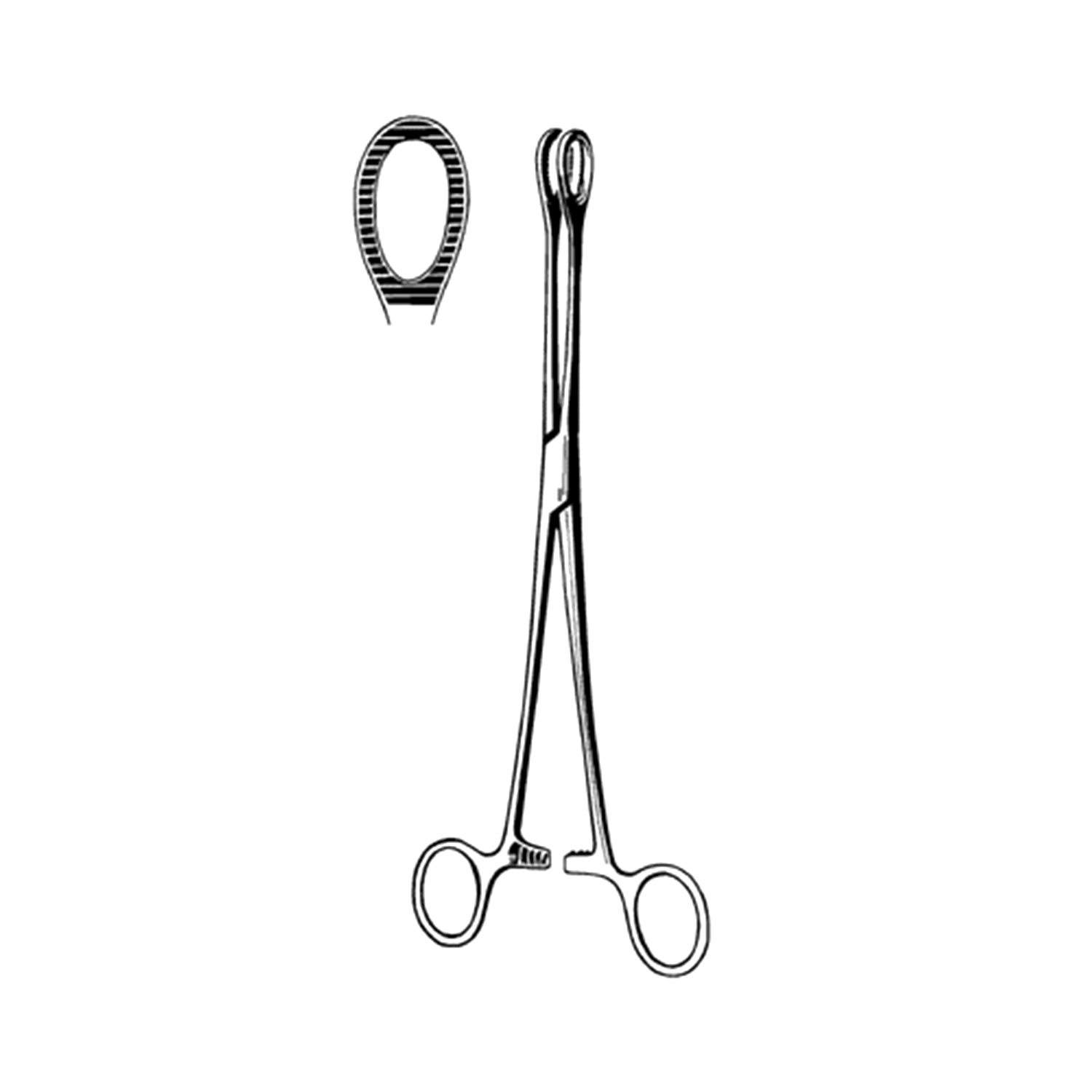 Sklar Surgi-OR Foerster Sponge Forceps