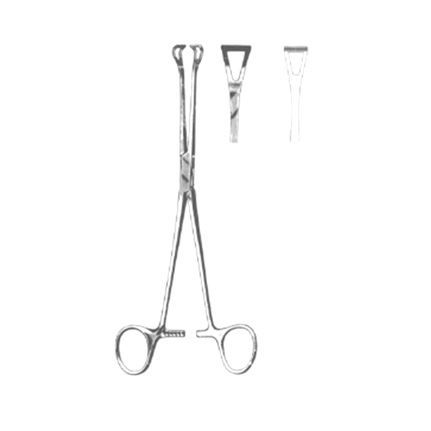 Marina Medical Babcock Forceps