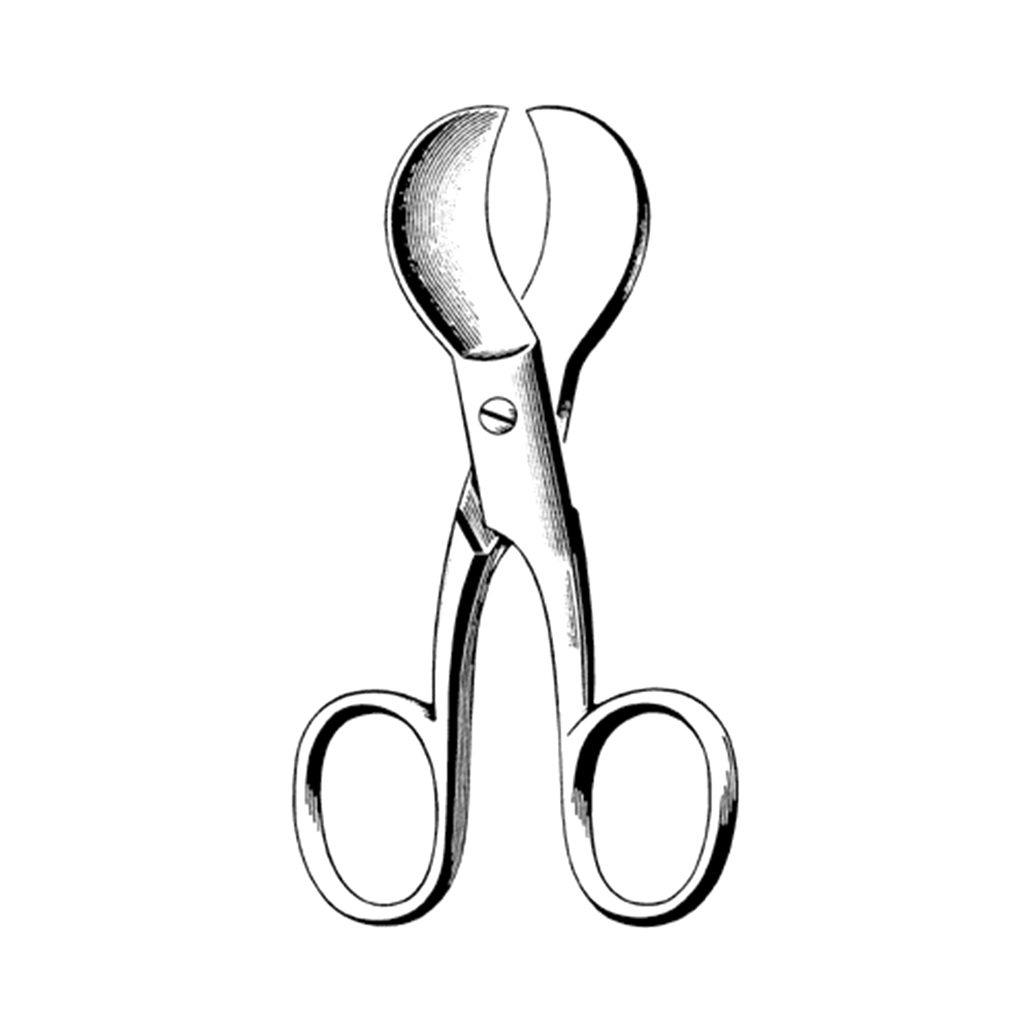 Sklar Merit Umbilical Scissors