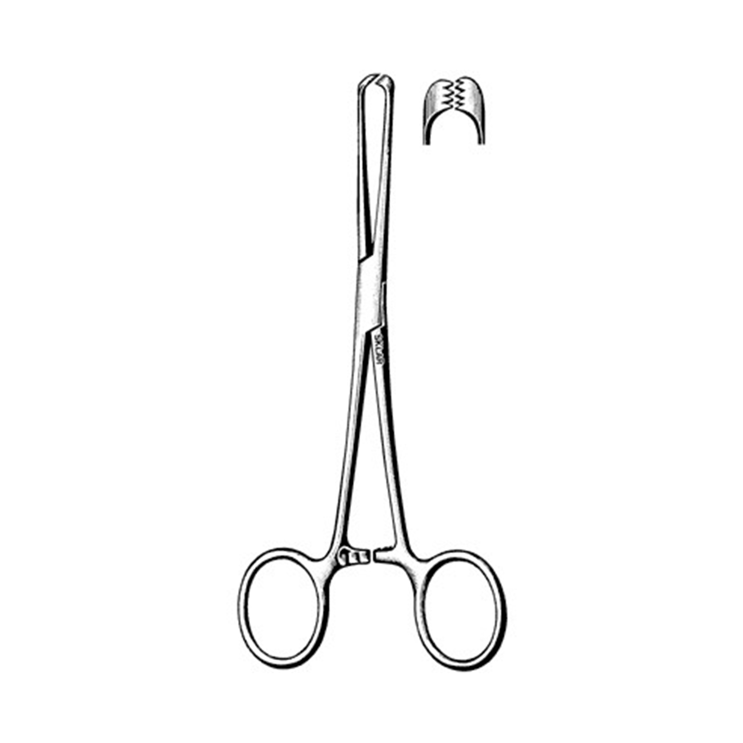 Tissue Forceps, 4x5 Teeth, 10"