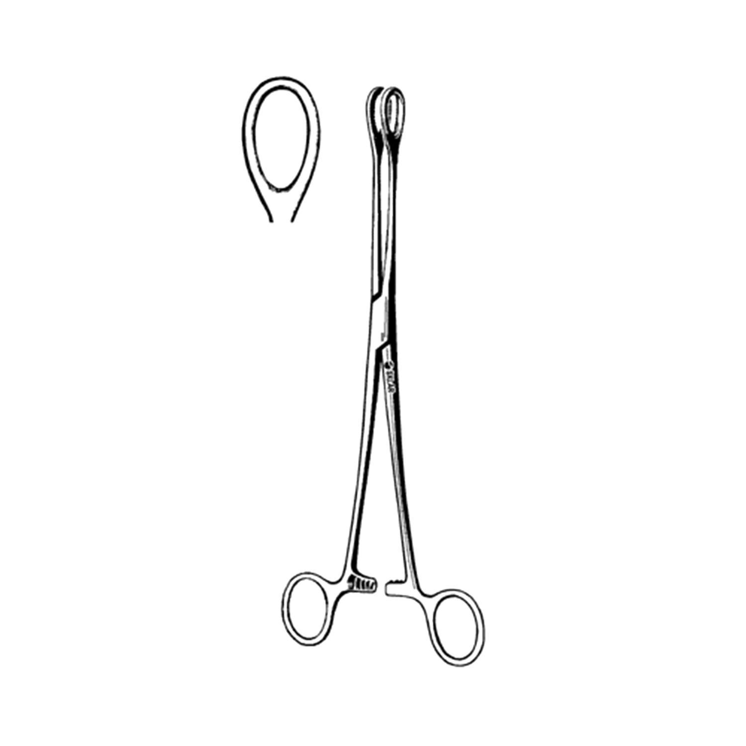 Sklar Foerster Sponge Forceps