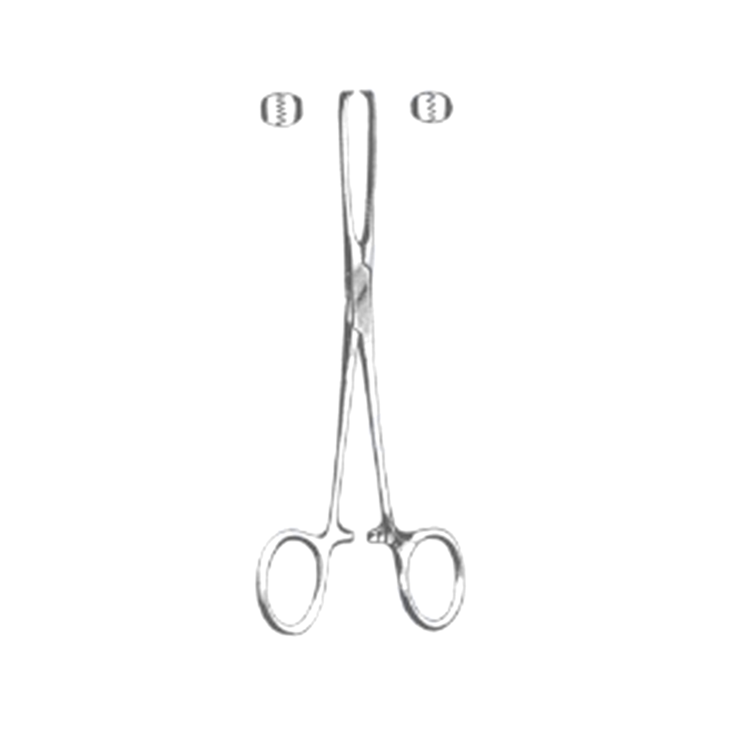 Marina Medical Allis Tissue Forceps