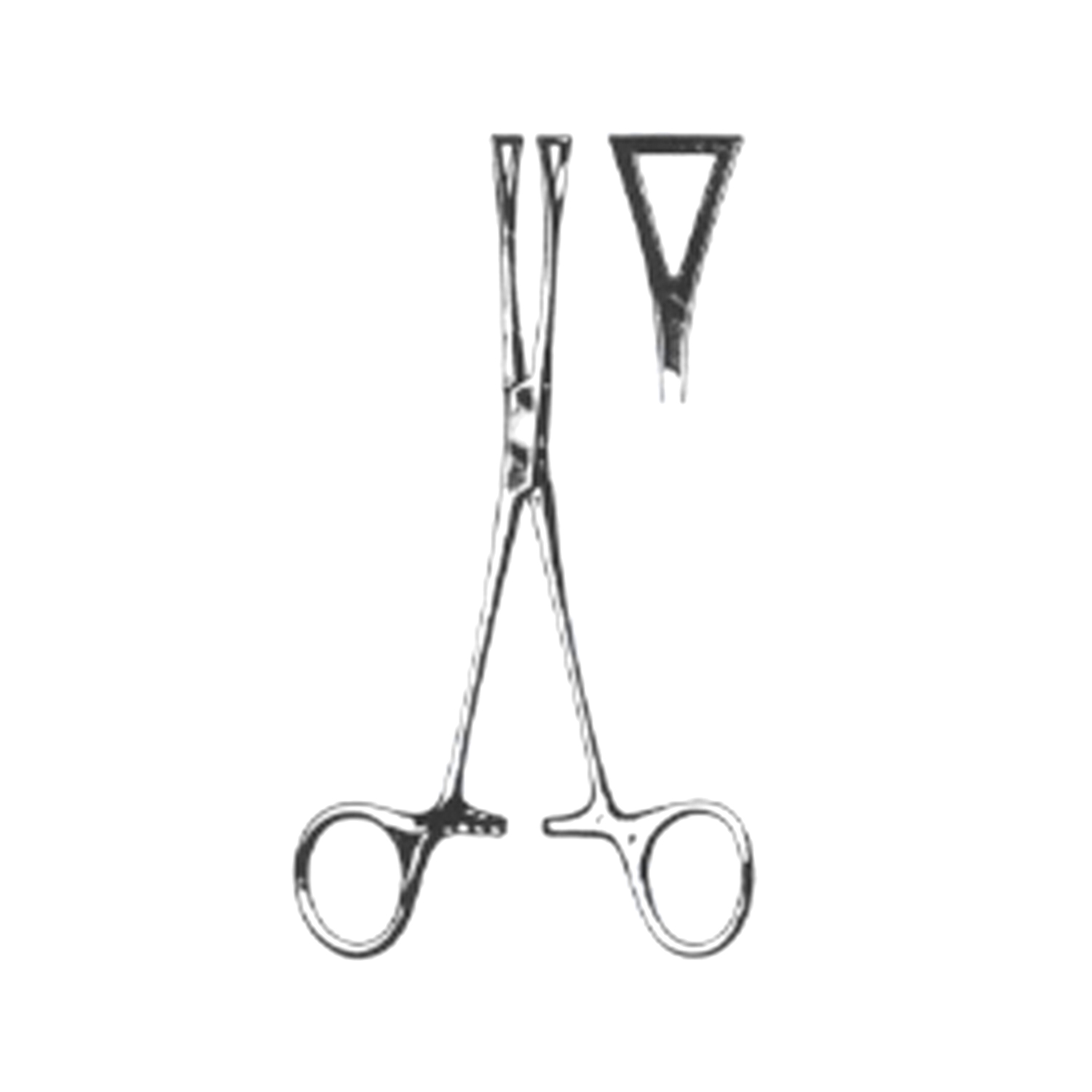 Marina Medical Pennington Tissue Holding Forceps