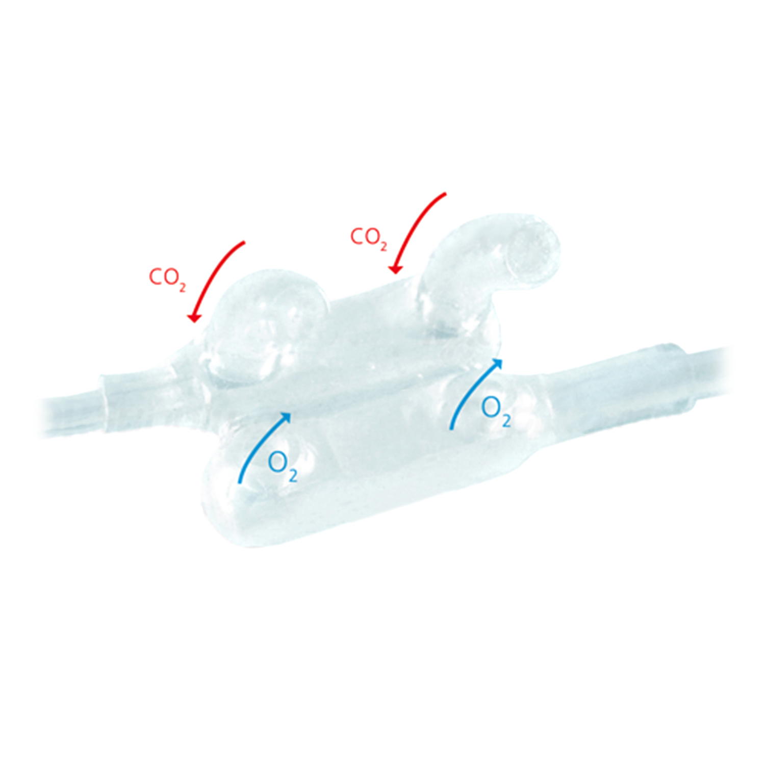 Flexicare Dual CO2/O2 Nasal Cannula 25/bx