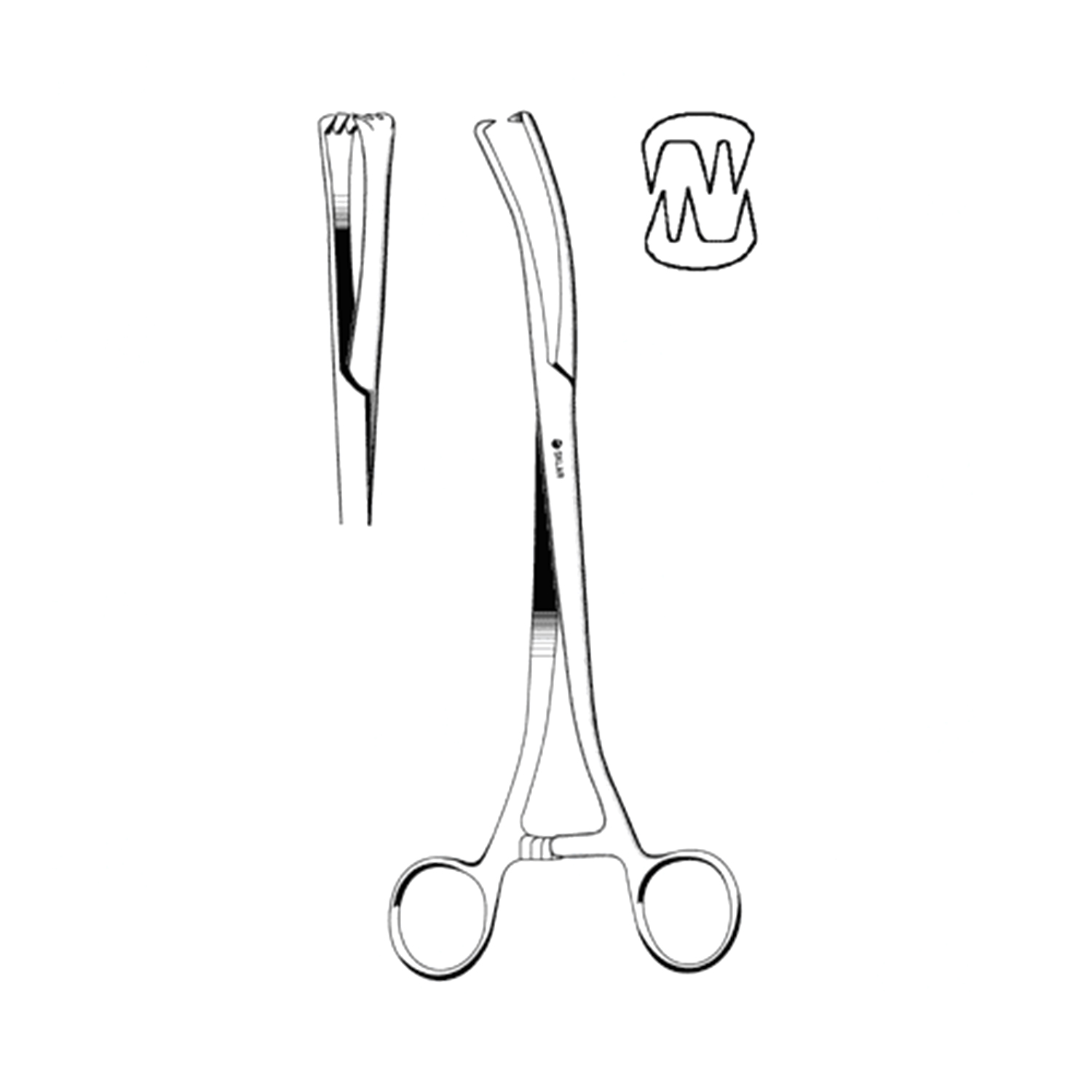 Sklar Segond (Collin) Forceps