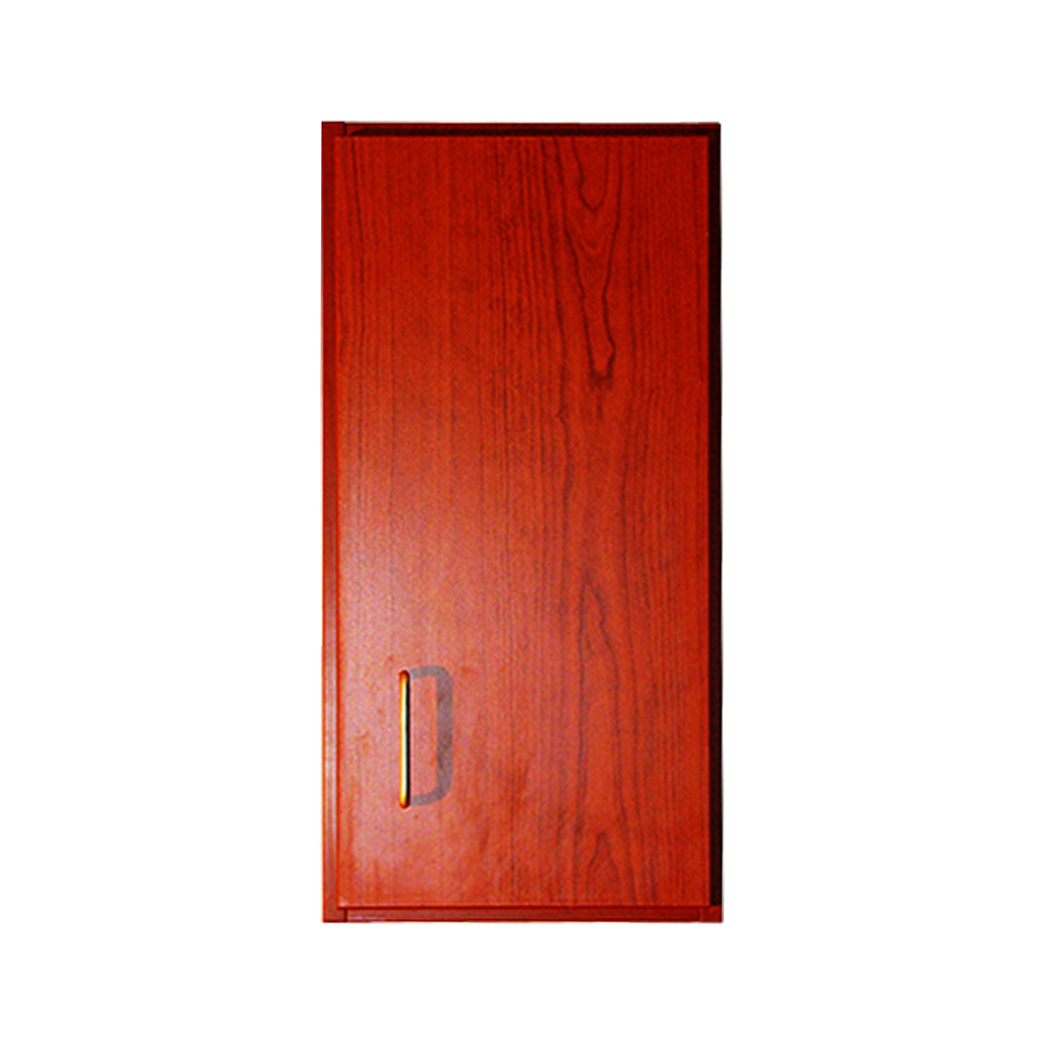 DRE Value Cabinet Series: 1 Door Wall Cabinet