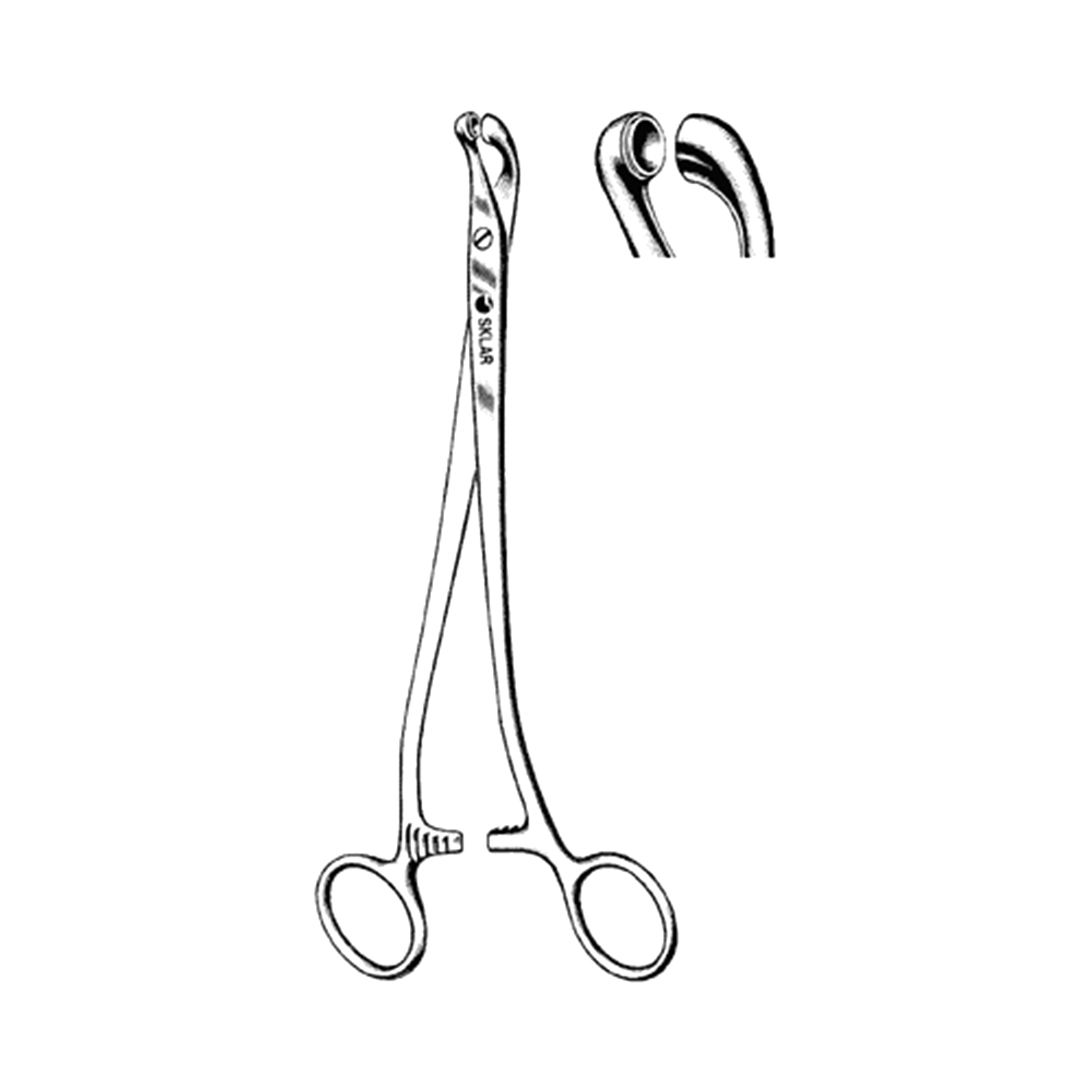 Sklar Thomas-Gaylor Bioposy Forceps