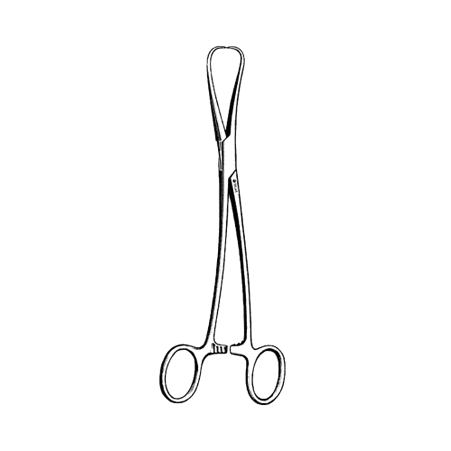 Sklar Jarcho Tenaculum Forceps