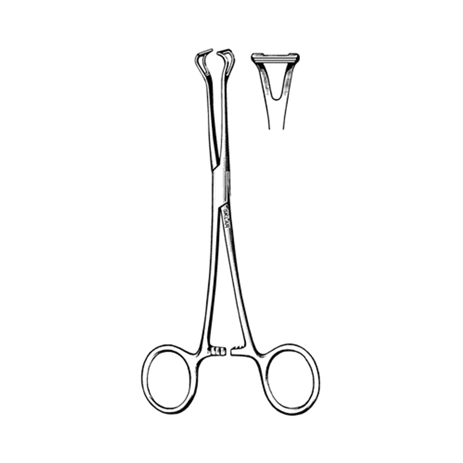 Surgical Forceps - Avante