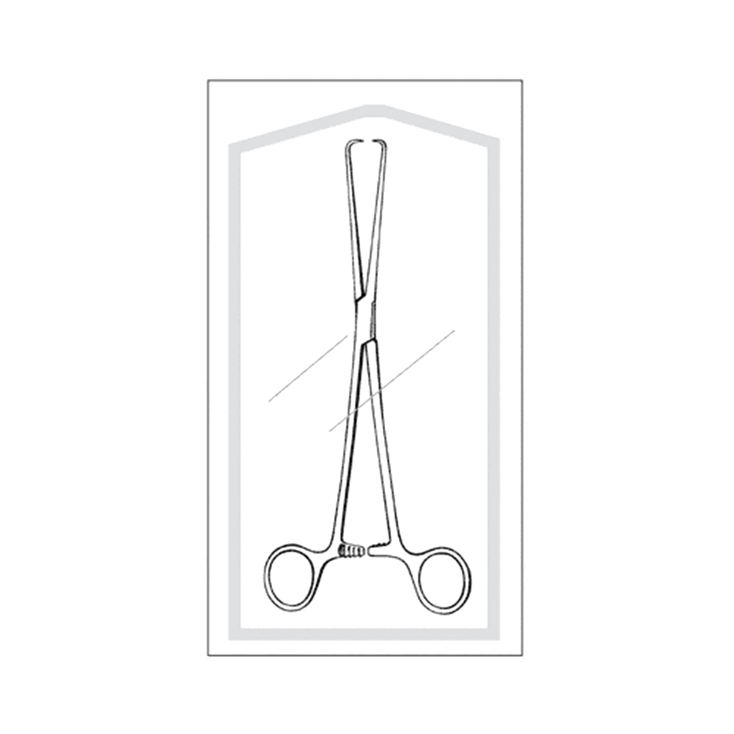 Sklar Econo Sterile Schroeder Tenaculum Forceps