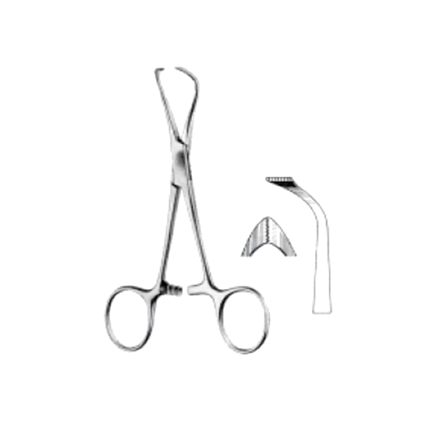 Marina Medical Lorna (Edna) Towel Clamp