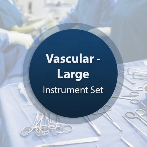 Vascular Surgical Instrument Set - Large