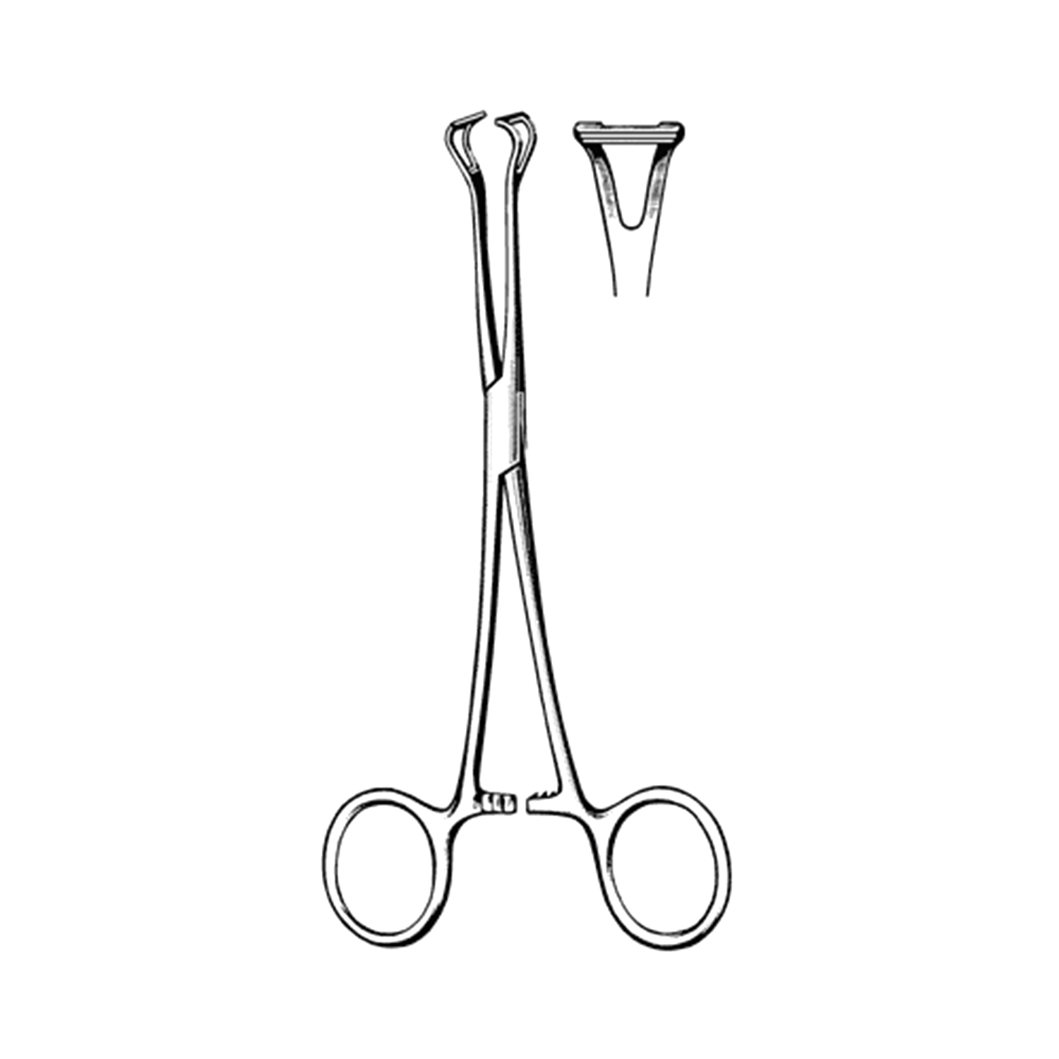 Sklar Surgi-OR Babcock Grasping Forceps