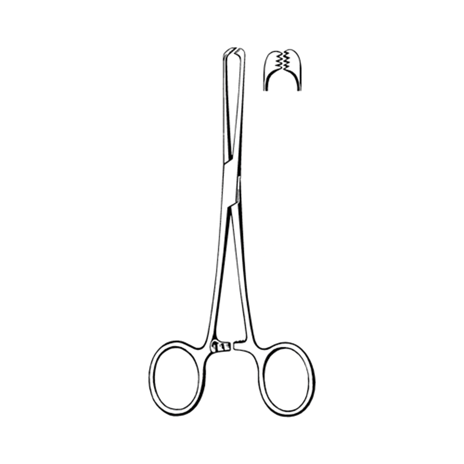 Sklar Econo Allis Tissue Forceps