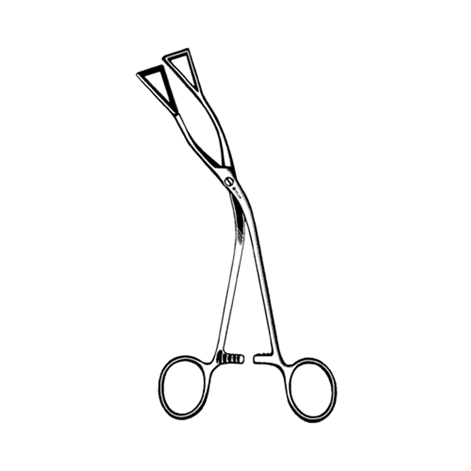 Sklar Lovelace Gall Bladder Forceps