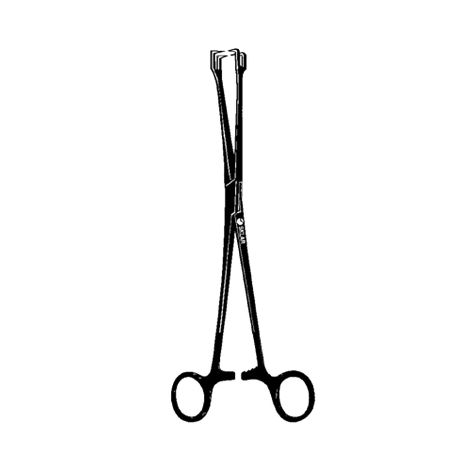 Sklar Schroeder Tenaculm Forceps