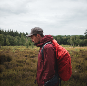 Tim Knol - Wanderings