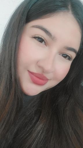 Brisa