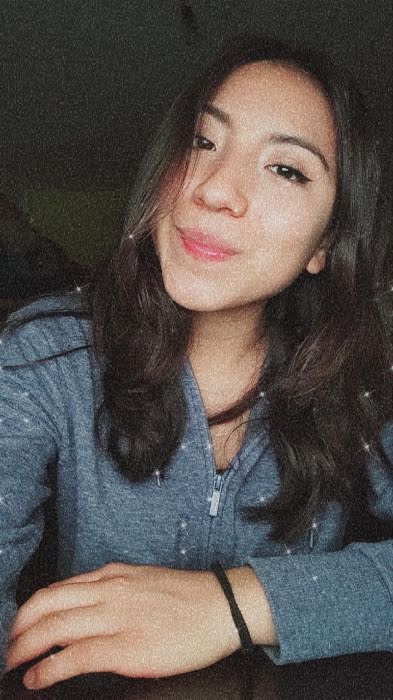 Diana Laura Guzmán Salazar