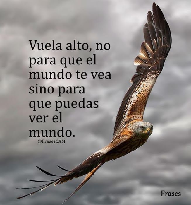 Patricia