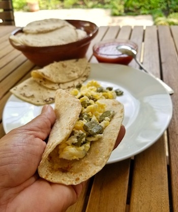 Tacos de nopales y huevo
