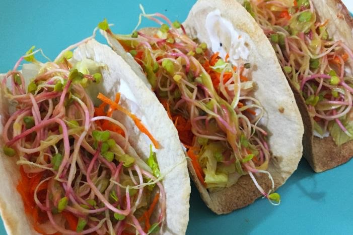 Tacos de aguacate y germinados de 205 Kcal