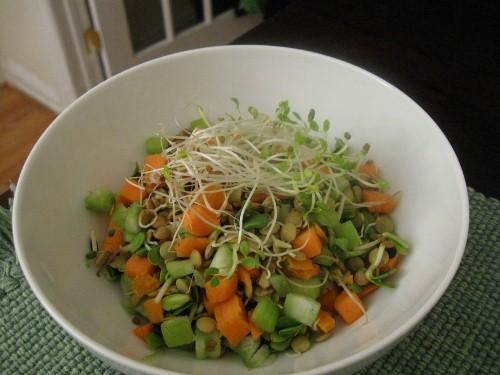 Ensalada de lenteja y germinados por Avena Salud - Receta fácil en la app  para nutriólogos Avena