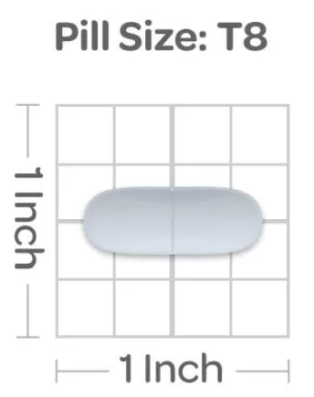 L-Carnitine  500 MG 左旋肉鹼（60 錠） - 5