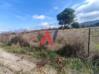 40390 m² Parcel