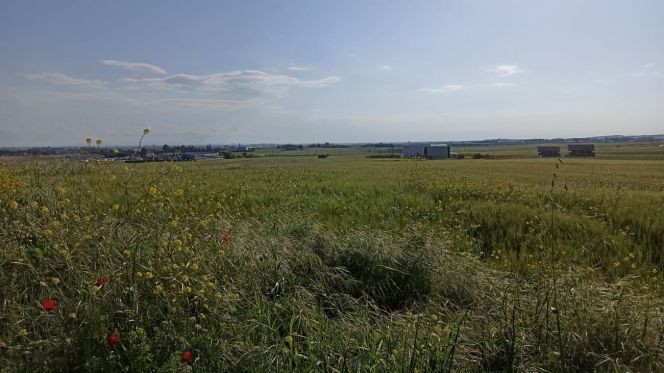 Участок 9126 м²