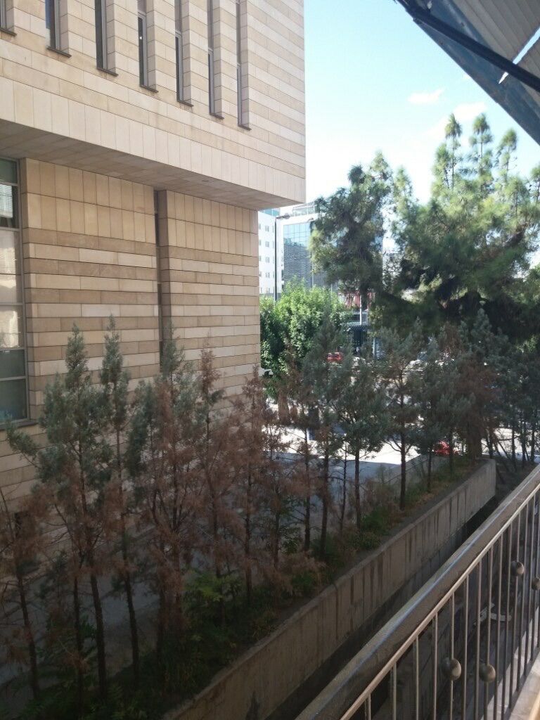 Διαμέρισμα 62τ.μ.
