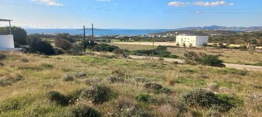 Αγροτεμάχιο 2000τ.μ.