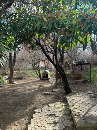5-room apartment with its own land for sale in Gldanula