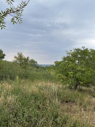 Land plot with a non-residential building