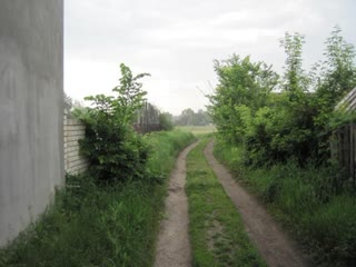 For sale land in Velika Danilivka