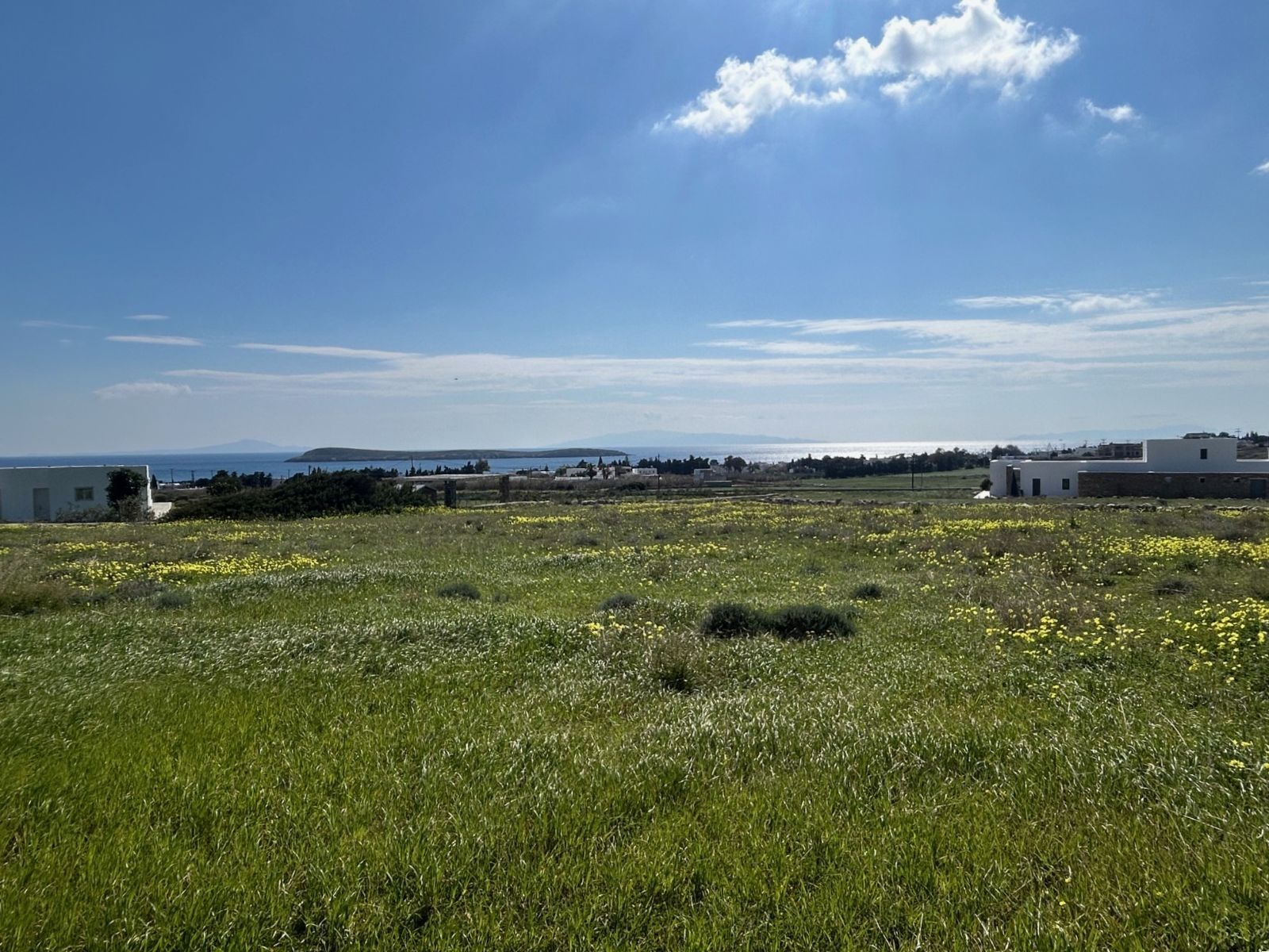 4000 τ.μ. Αγροτεμάχιο