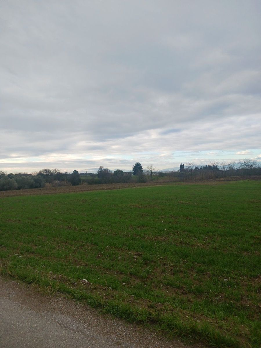 5760 m² Parcel