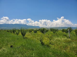იყიდება მიწის ნაკვეტი კასპში