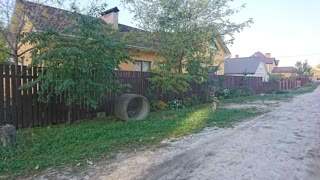 Будинок на березі озера
