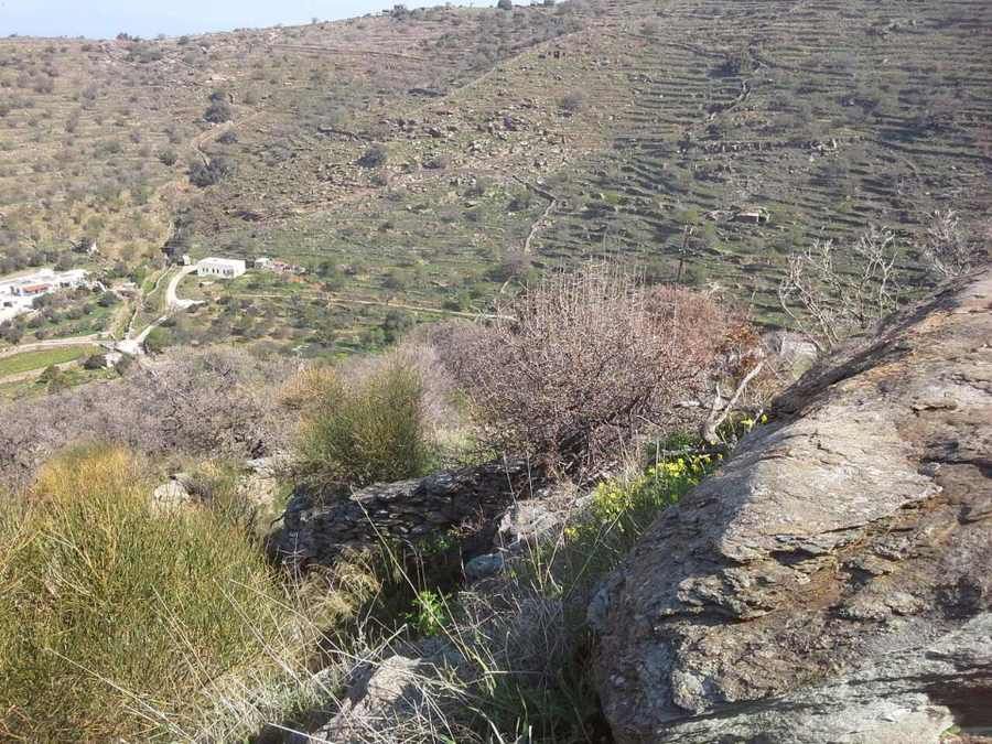 Αγροτεμάχιο 10162 τ.μ.