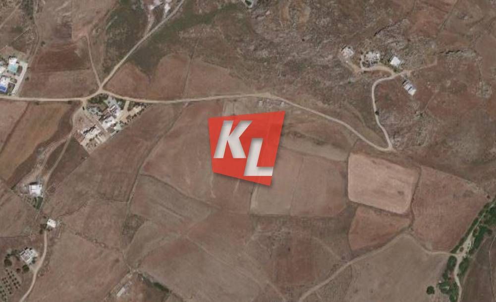 8000 m² Parcel