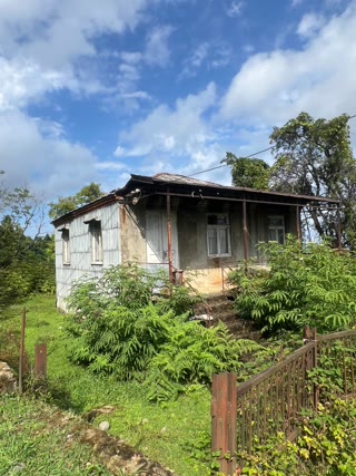 Land for sale in Kobuleti district.