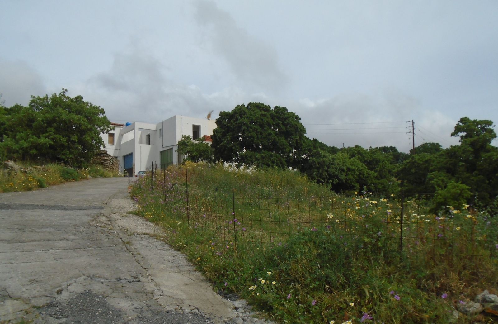 1235 m² Plot