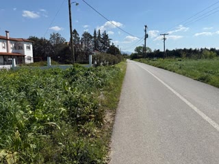 4650 m² Parcel
