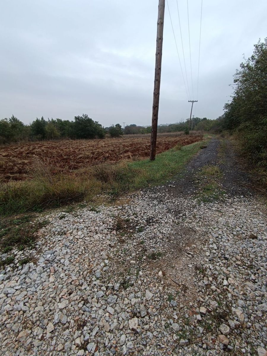 2000 m² Parcel