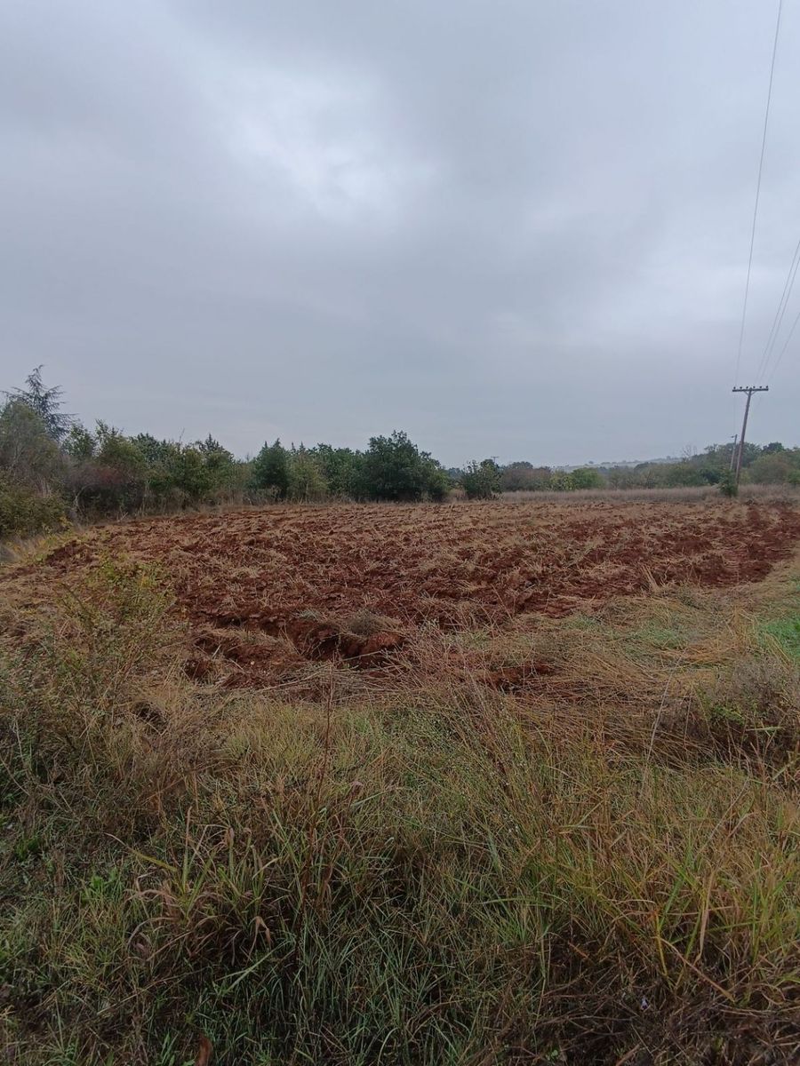 2000 m² Parcel