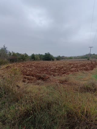 2000 m² Parcel