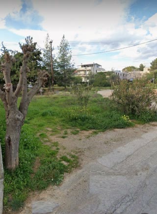 275 m² Plot