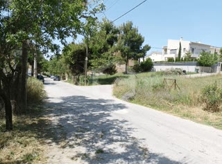 350 m² Plot